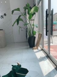 点击看大图 -未来美发·T1M HAIR SALON