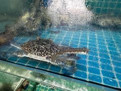 -坛南湾阿强农家乐.海鲜大排档老字号(福州地标美食店)