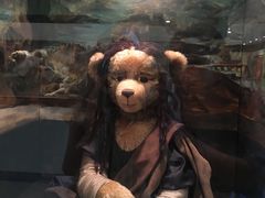 -济州岛泰迪熊博物馆