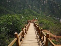 -大岭沟猕猴桃谷风景区