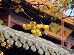 -圆通寺
