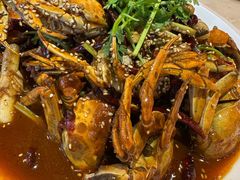 -杨氏青龙虾·羊蝎子(珠江路店)