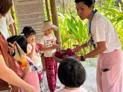 -大象粑粑造纸公园