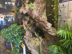 -路小缦·珍馐美馔(市心北路店)