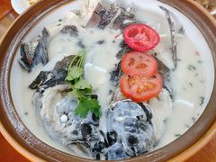 -全乐鱼馆·淳牌有机鱼直营店
