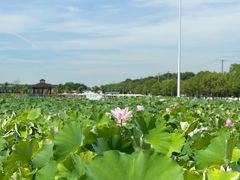 -嘉北郊野公园