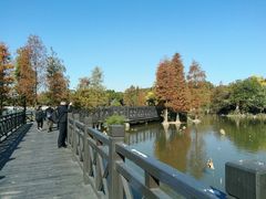 -海珠湖公园