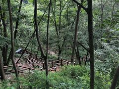 -大岭沟猕猴桃谷风景区