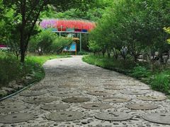 -十渡东湖港风景区