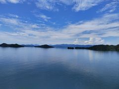 -浔味·山屿湖·正宗淳牌全鱼宴老字号
