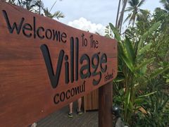 -椰树岛海滩度假村