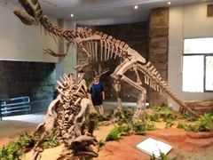 -自贡恐龙博物馆