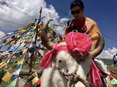 -青海湖国家重点风景名胜区