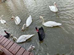 -宁波杭州湾国家湿地公园