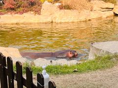 -上海野生动物园