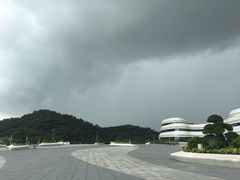 -野狸岛