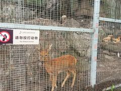 -大连天门山国家森林公园