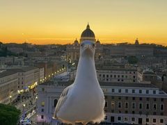 -杭州开元名都大酒店·地中海自助餐厅