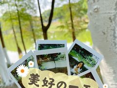 -番禺大夫山森林公园