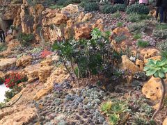 -南通洲际绿博园