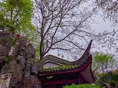 -白沙古井