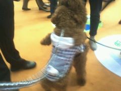 -东浩兰生上海世博展览馆