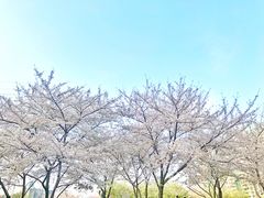 -西北湖绿化广场