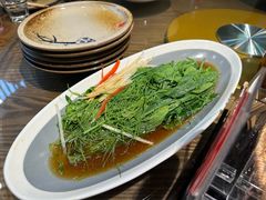 -鸽子窝(青塔店)