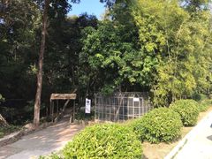-林丰温泉度假山庄