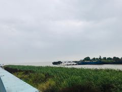 -瀛洲公园