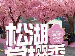 -东莞松山湖万象汇