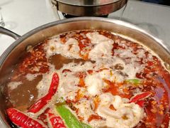 麻辣锅-应时肥牛火锅居(联合路店)