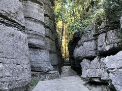 -梭布垭石林景区