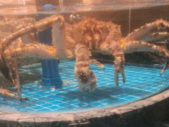 -百富源·海鲜辽菜(张士店)
