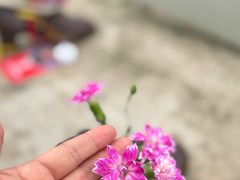 -多瑙河畔鞋履雕塑