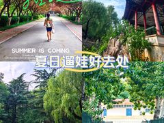 -山东师范大学(千佛山校区)