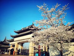 -苏州上方山国家森林公园