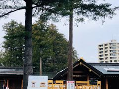-北海道神宫