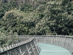 -福道