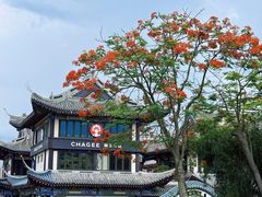 -海花岛旅游度假区