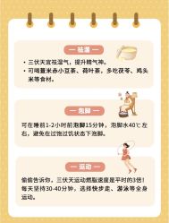 -Fundi张玉珊修身堂·indiba·BTL科技瘦身