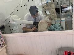-BABYDOG宝贝狗宠物乐园(欧洲城店)