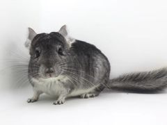 -龙猫仔乐园(惠福东路店)