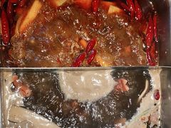 -渡娘火锅(大兴大悦春风里店)