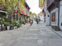 -运河游船(武林门码头)