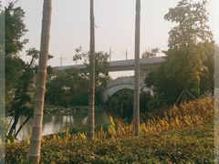 -宝安西湾红树林湿地公园