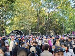 -人民公园-相亲角