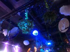 -胡桃里音乐酒馆(石家庄店)