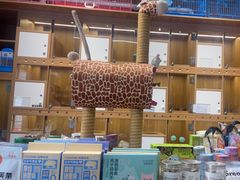 -汤姆宠物(长青北路店)