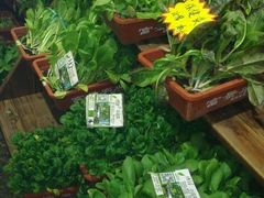 android_upload_pic-粥全粥到海鲜家常菜(瞿塘峡路店)
